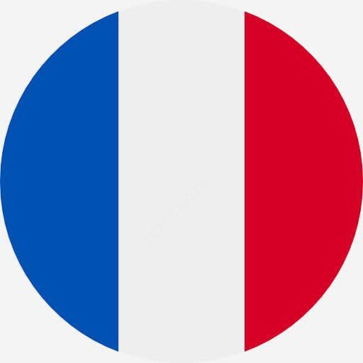 France flag with knitting pattern, showcasing blue, white, and red colors, ideal for knitting and craft enthusiasts.
